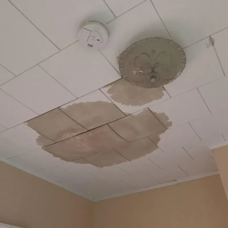 Ceiling Water Damage Repair in Churchill, PA