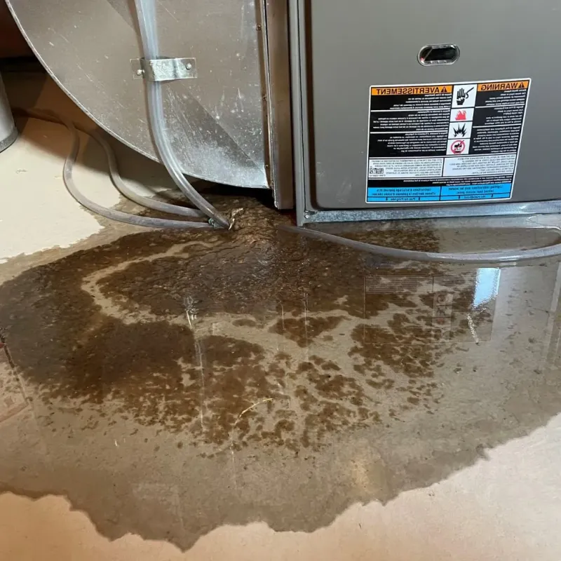 Pipe Burst and Leak Restoration in Churchill, PA