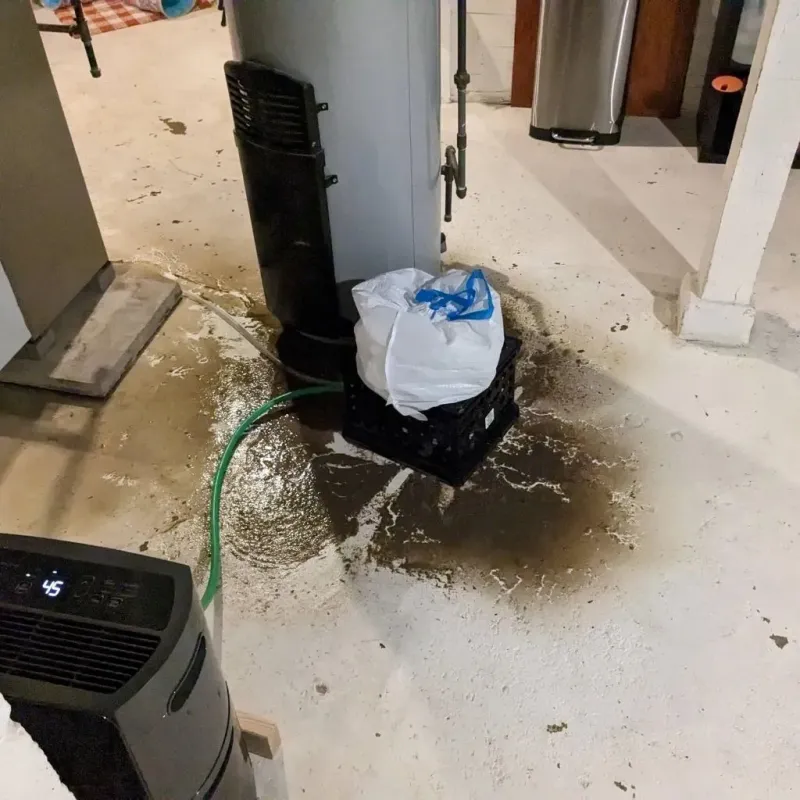 Sewage Backup Cleanup Service in Churchill, PA